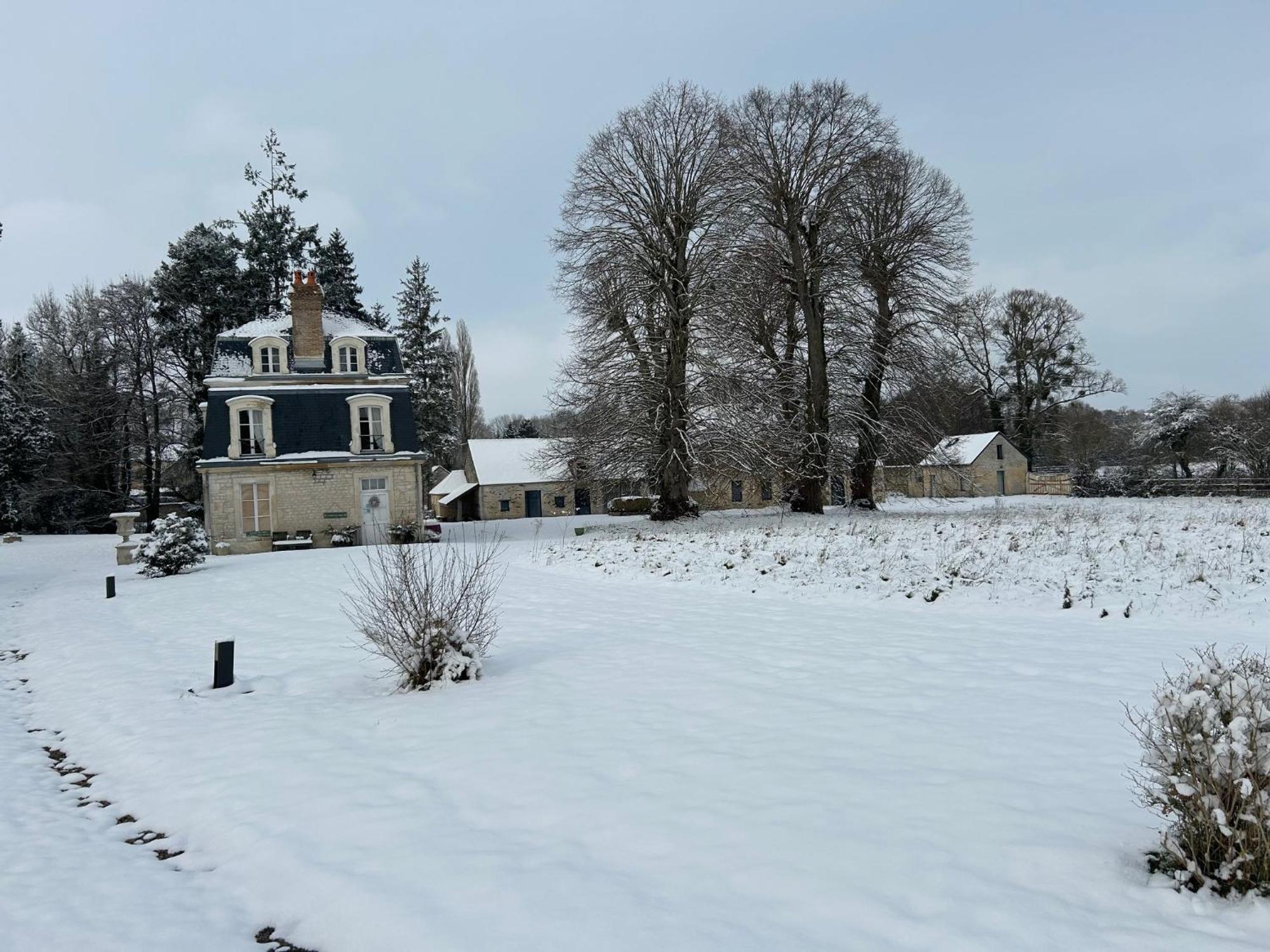 Le Manoir Du Ribardon Bed & Breakfast Neuvy-au-Houlme Bagian luar foto