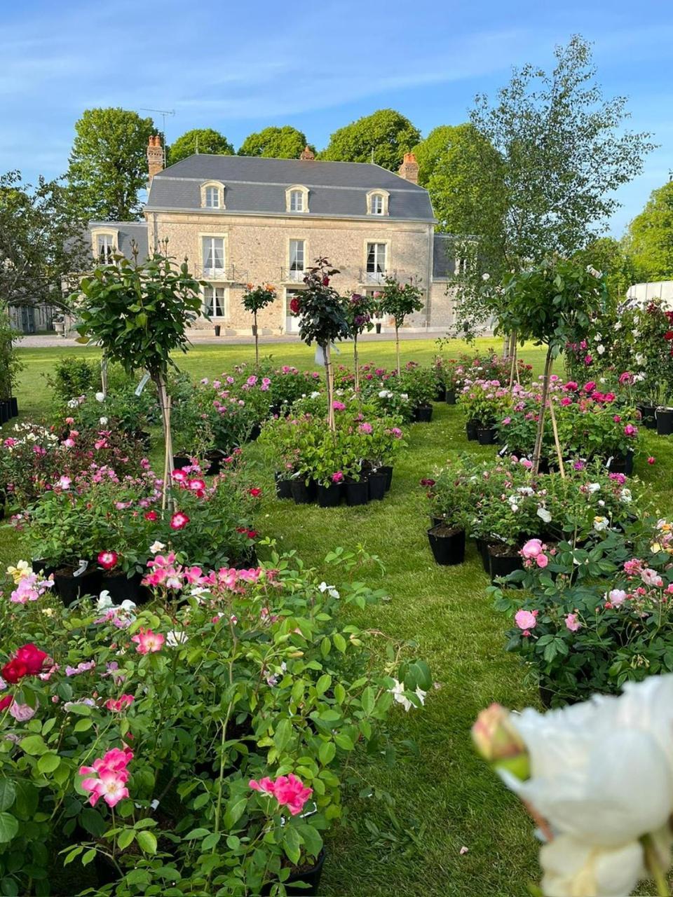 Le Manoir Du Ribardon Bed & Breakfast Neuvy-au-Houlme Bagian luar foto